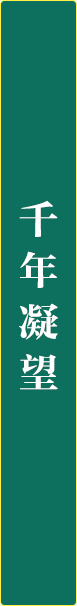 6373503d9bc12d23699fc9044d0e372.png